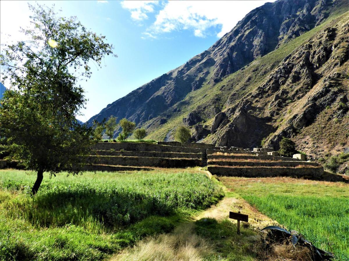 Ayllu B&B Ollantaytambo Esterno foto